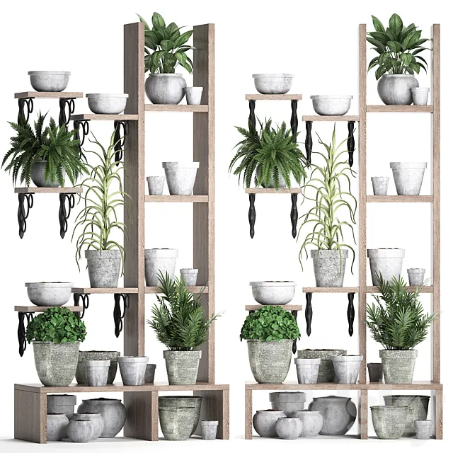 Plant Collection 365. Shelf with plants aloe flowerpot greenery vertical garden concrete eco design 3D Model