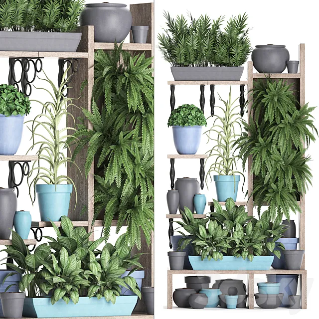 Plant Collection 367. Shelf with plants. fern. flowerpot. greenery. vertical garden. phytowall. phytomodule. pots. eco design 3DModel Plant Collection 367. Shelf with plants. fern. flowerpot. greenery. vertical garden. phytowall. phytomodule. pots. eco design 3DModel