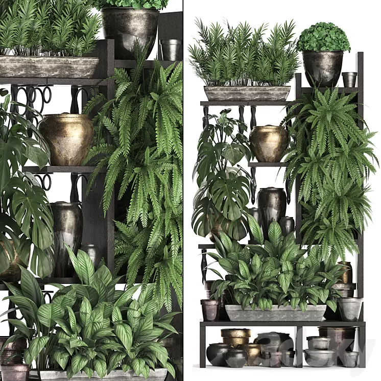 Plant Collection 368. Flower shelf fern monstera flowerpot greenery vertical garden phytowall phytomodule pots eco design 3D Model