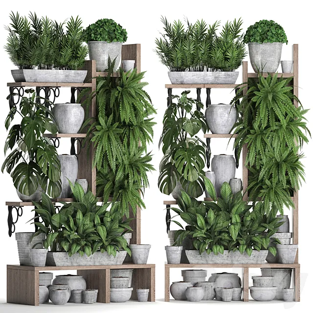 Plant Collection 369. Shelf with flowers fern flowerpot greenery vertical garden concrete pot phytowall phytomodule pots eco design Areca palm 3D Model Plant Collection 369. Shelf with flowers fern flowerpot greenery vertical garden concrete pot phytowall phytomodule pots eco design Areca palm 3D Model
