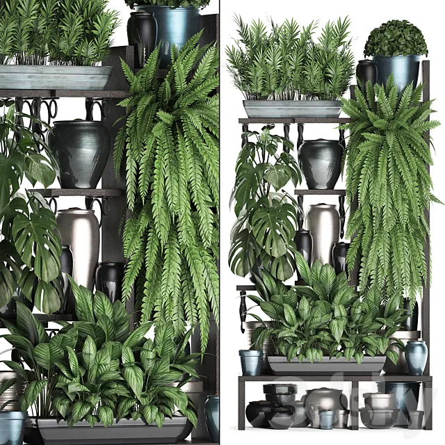 Plant Collection 371. Shelf with flowers ficus lyrata monstera flowerpot greenery vertical garden phytowall phytomodule pots eco design Scandinavian style 3D Model Plant Collection 371. Shelf with flowers ficus lyrata monstera flowerpot greenery vertical garden phytowall phytomodule pots eco design Scandinavian style 3D Model