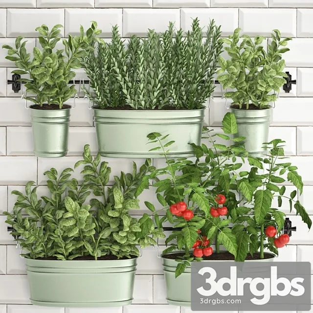 Plant collection 382. ????????? ???, ??????, ????????? ??????, ??????, ?????, ??????, ????????, ????????, ???????, ???????? Plant collection 382. ????????? ???, ??????, ????????? ??????, ??????, ?????, ??????, ????????, ????????, ???????, ????????