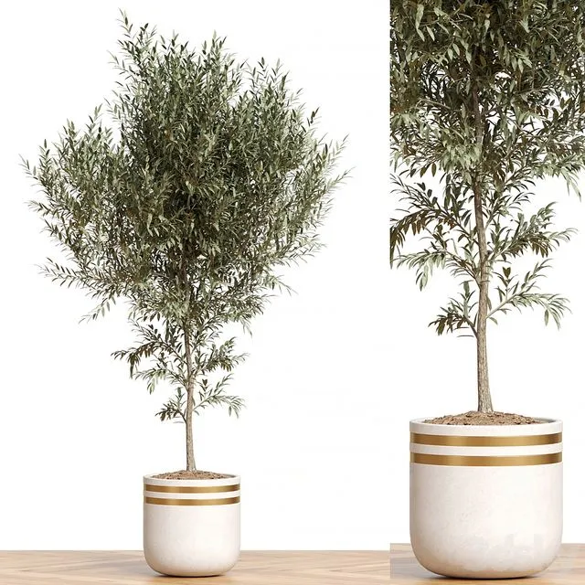 Plant Collection 82 3D Model