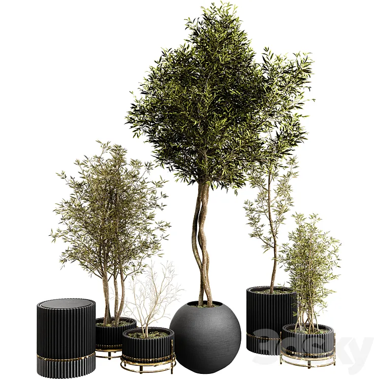 Plant Collection Set 03 3D Model Free Download Plant Collection Set 03 3D Model Free Download