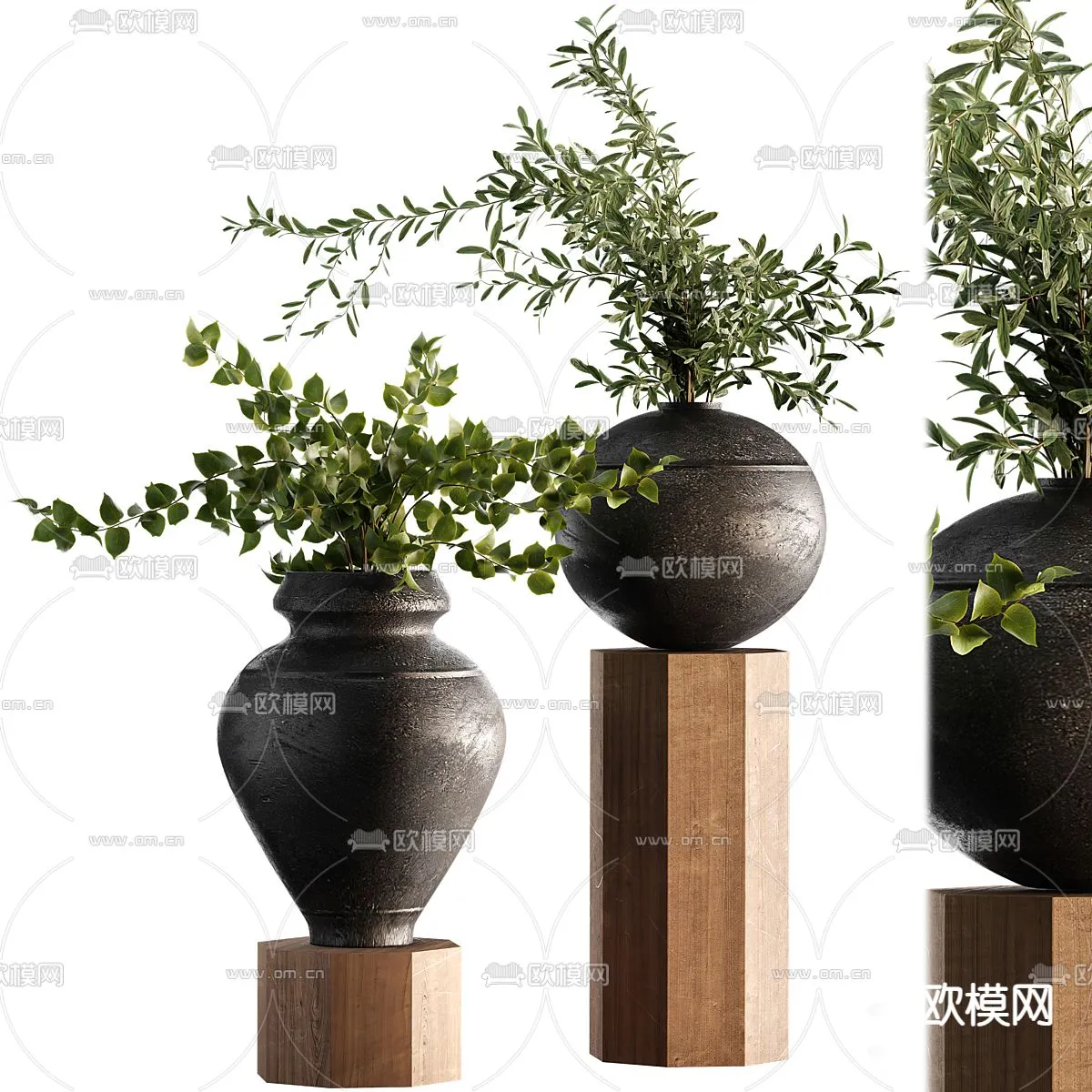 Plant – CORONA – 3D MODEL – 439