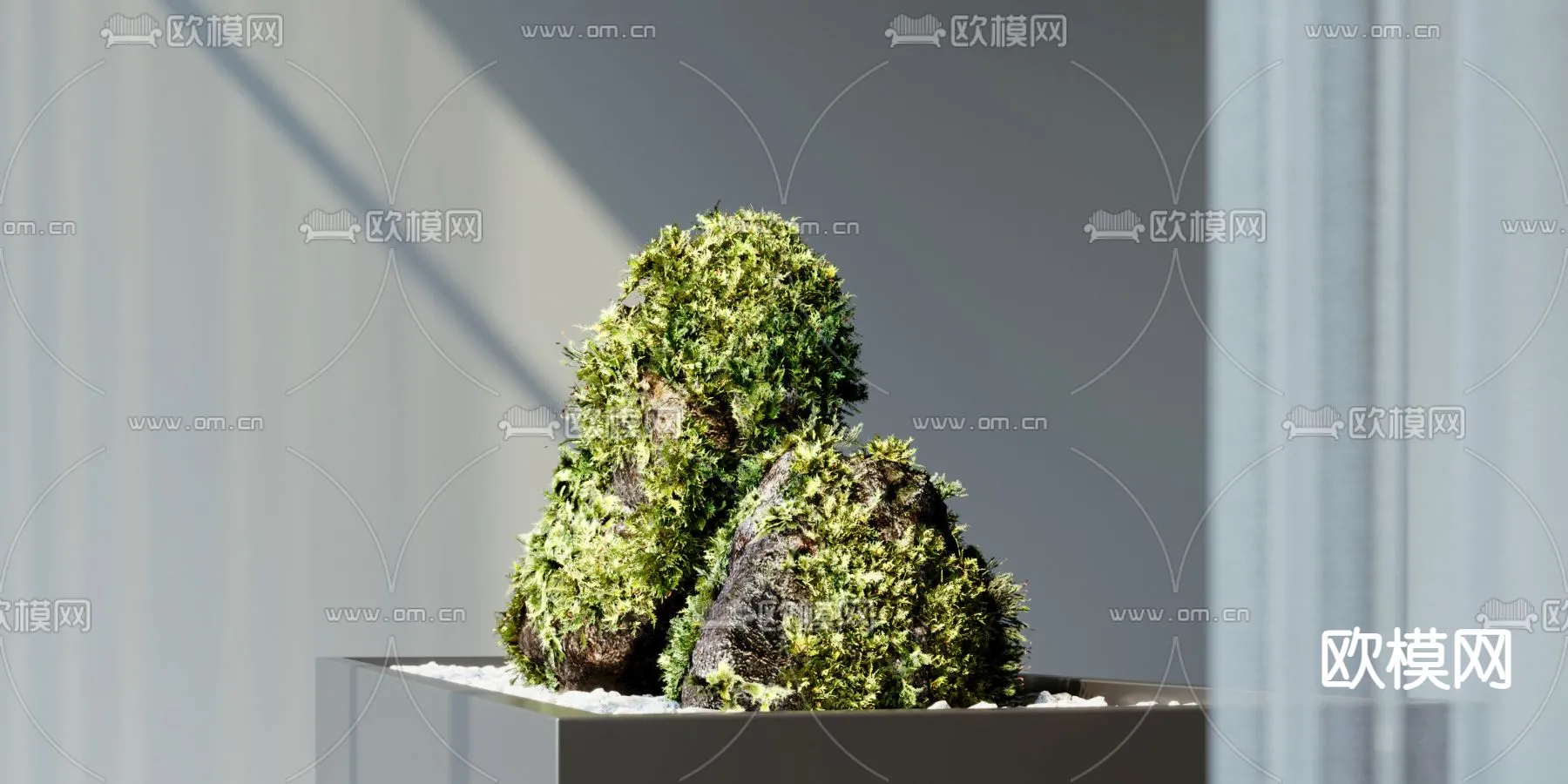 Plant – CORONA – 3D MODEL – 478 Plant – CORONA – 3D MODEL – 478
