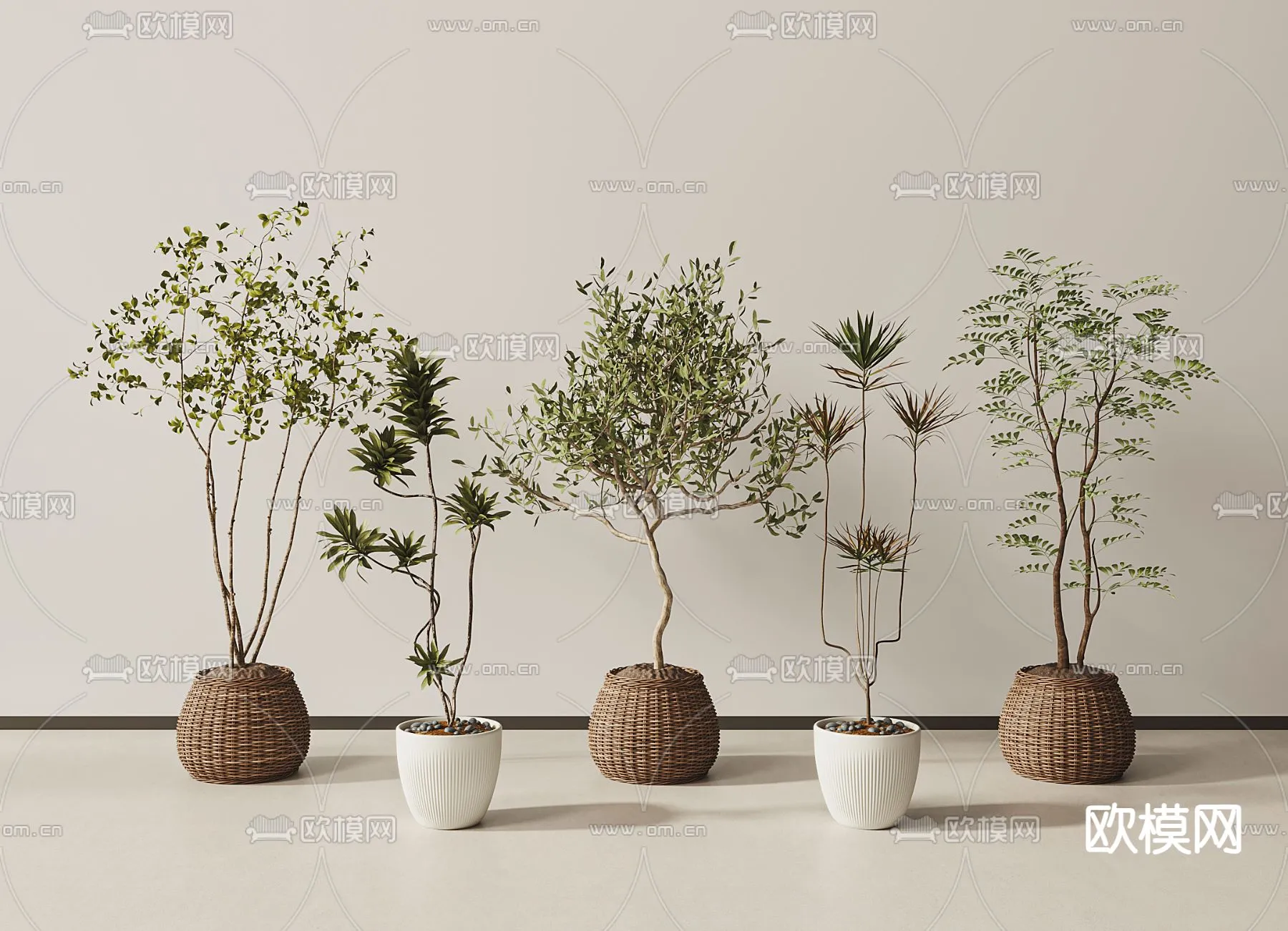 Plant – CORONA – 3D MODEL – 498 Plant – CORONA – 3D MODEL – 498