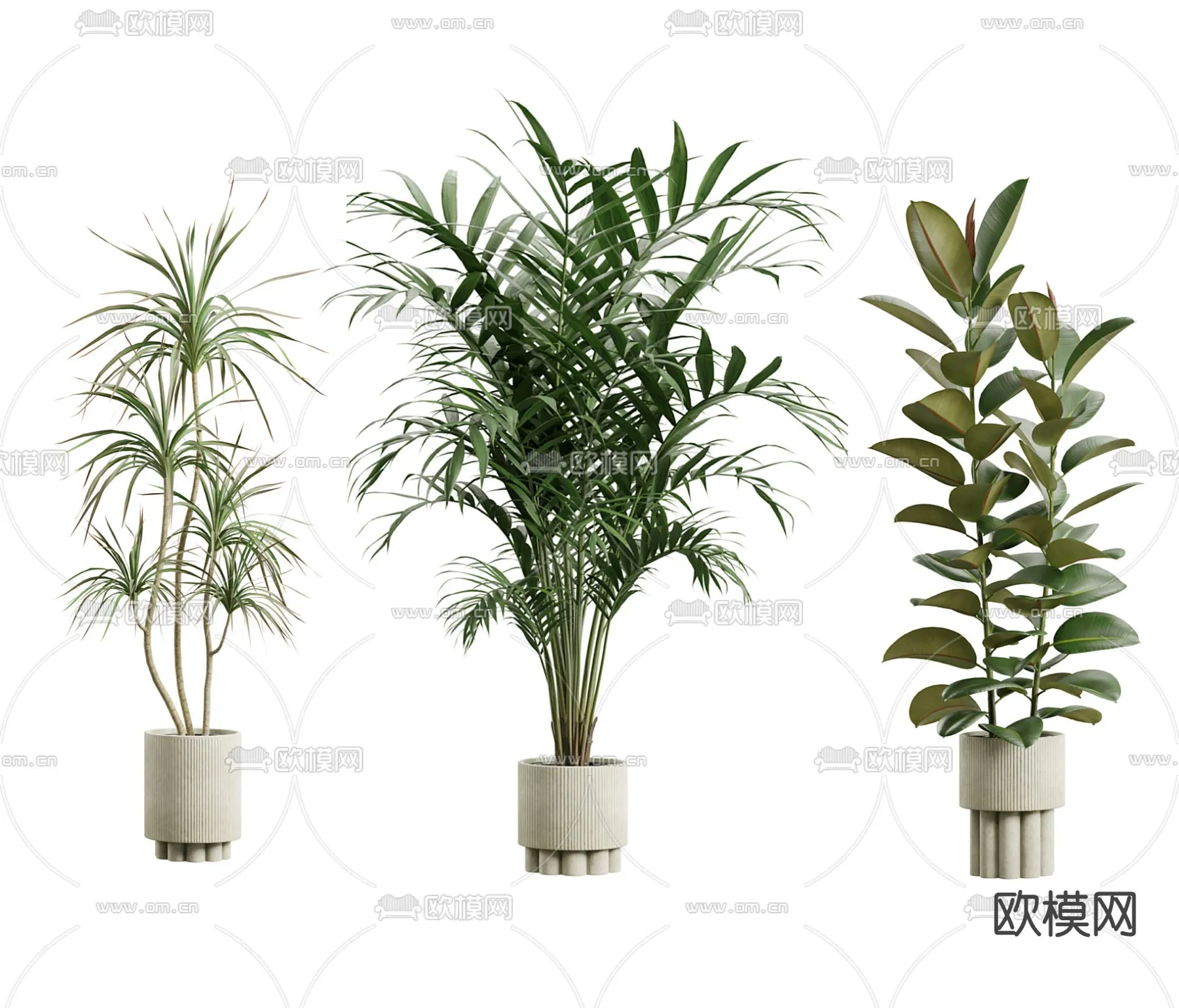 Plant – CORONA – 3D MODEL – 500 Plant – CORONA – 3D MODEL – 500