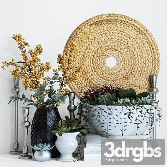 Plant Decor Set 02 3D Model Download Plant Decor Set 02 3D Model Download