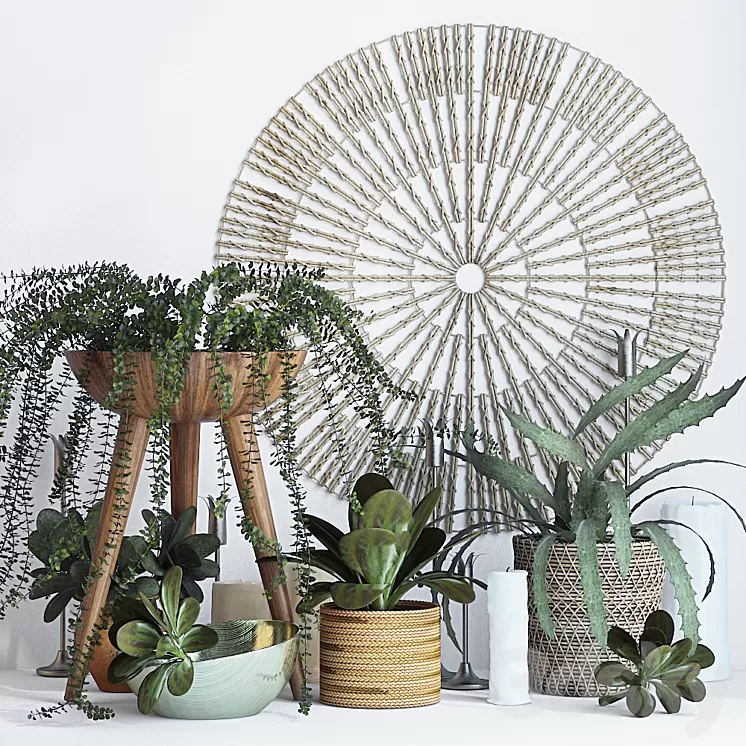 Plant decor set – 1 3D Model