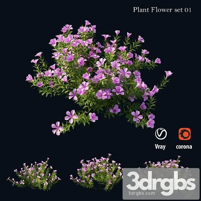 Plant Flower Set 01 3D Model Download