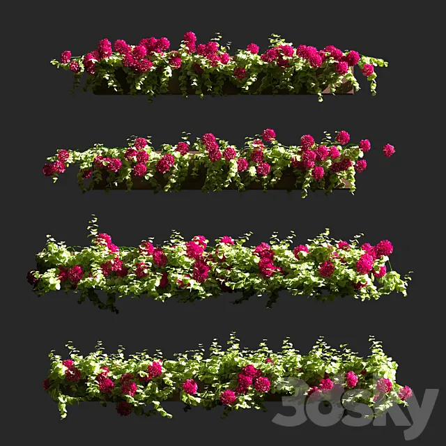 Plant Geranium Facade v2 3D Model Plant Geranium Facade v2 3D Model