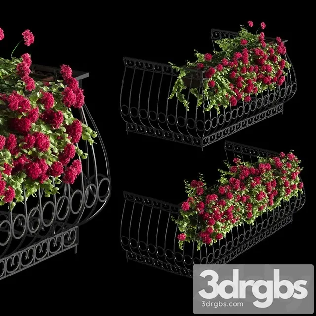 Plant Geranium for The Facade 3D Model Download
