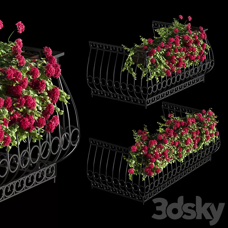 Plant geranium for the facade 3D Model
