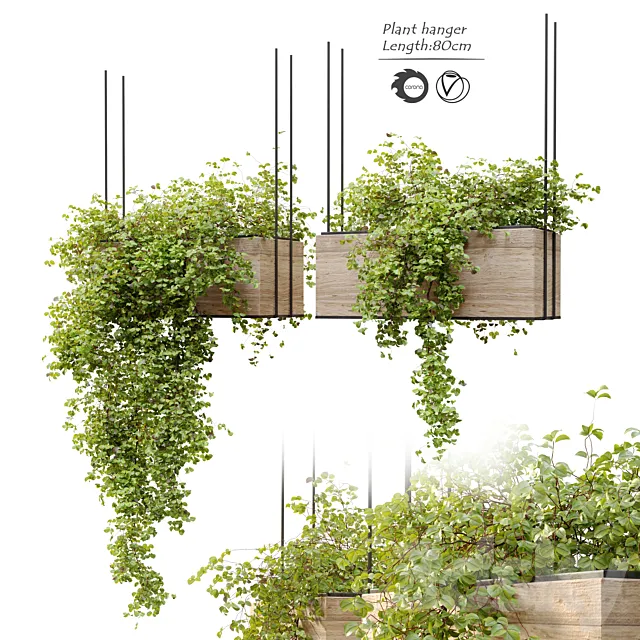 Plant hanger 3D Model Plant hanger 3D Model