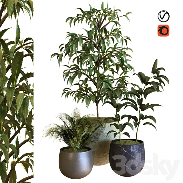 plant in box set 040 3D Model