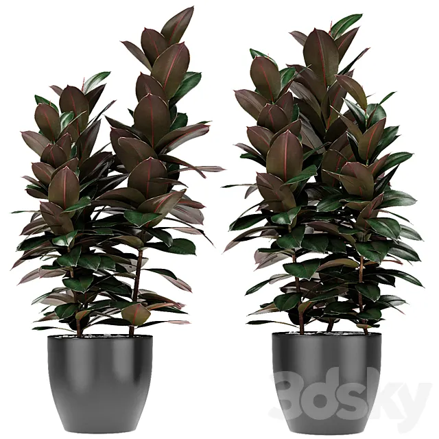Plant in Pot Flowerpot Exotic Plant 3D Model Plant in Pot Flowerpot Exotic Plant 3D Model