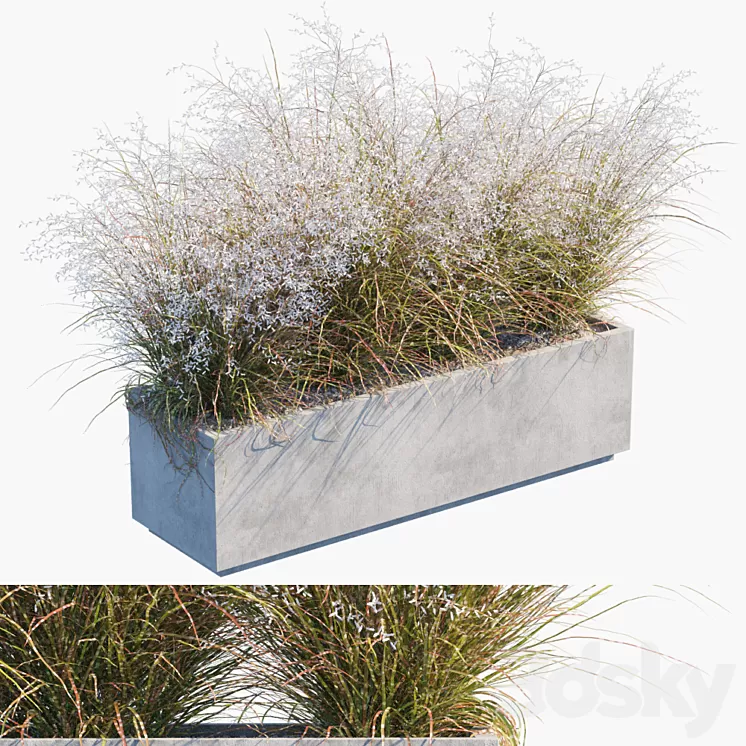Plant in pots # 24: Miscanthus flowering 3D Model