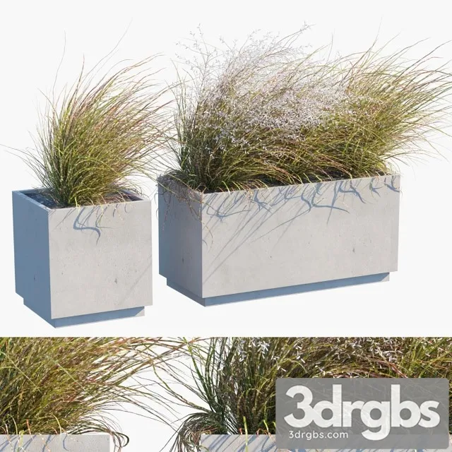 Plant In Pots 27 Wind Blows 3D Model Download