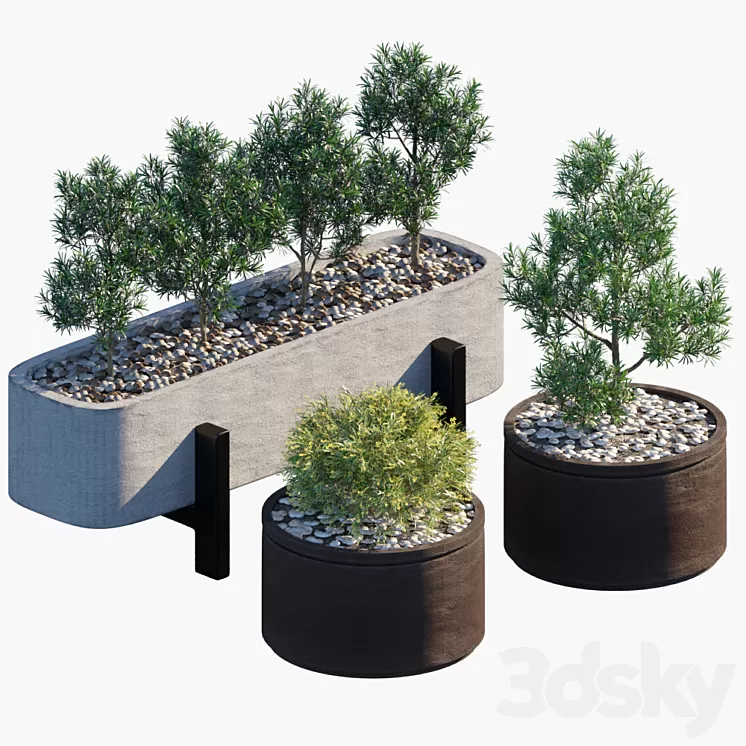 Plant in pots # 34 3D Model
