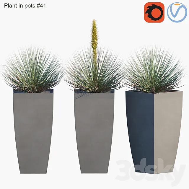 Plant in pots # 41: Agave 3D Model Plant in pots # 41: Agave 3D Model