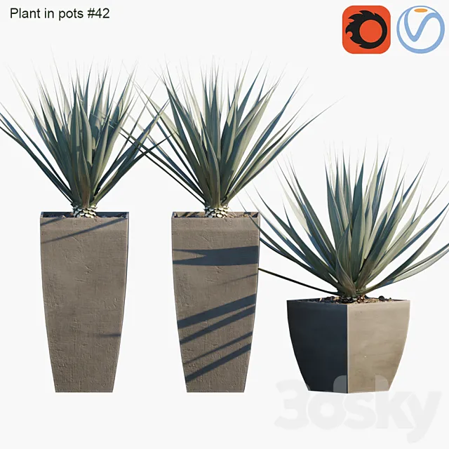 Plant in pots # 42: Agave 3D Model Plant in pots # 42: Agave 3D Model