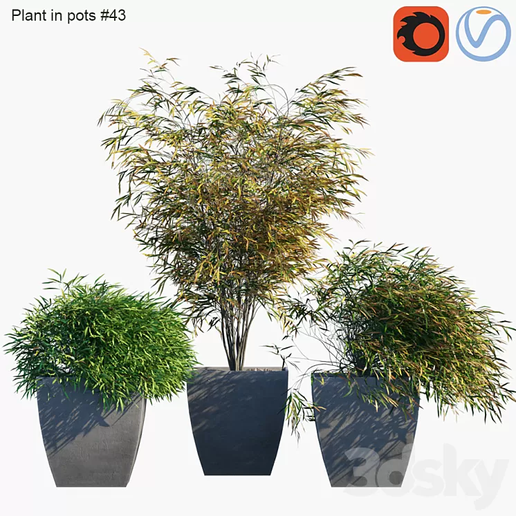 Plant in pots # 43: Palm and grass 3D Model
