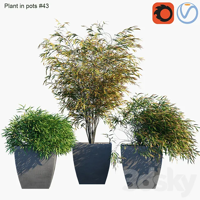 Plant in pots # 43: Palm and grass 3DModel Plant in pots # 43: Palm and grass 3DModel