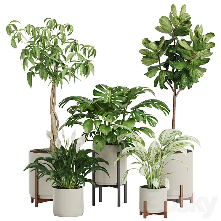 plant in pots_set 03 3D Model Free Download