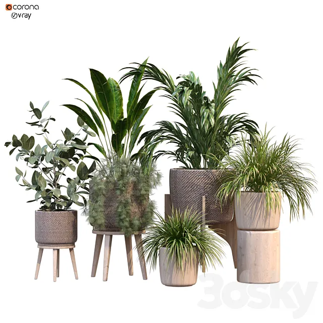 plant in vase collection set 214 3D Model plant in vase collection set 214 3D Model
