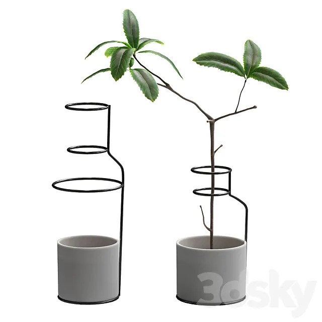Plant in wire pots 3DModel Plant in wire pots 3DModel