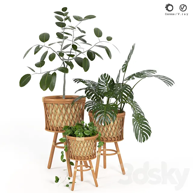 plant indoor 02 3D Model