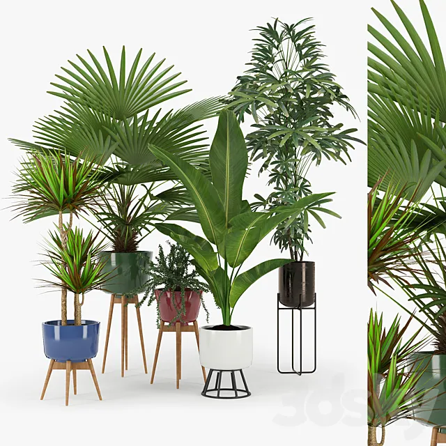 Plant Set 03 3D Model Plant Set 03 3D Model