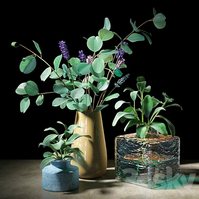 Plant set 05 3DModel Plant set 05 3DModel