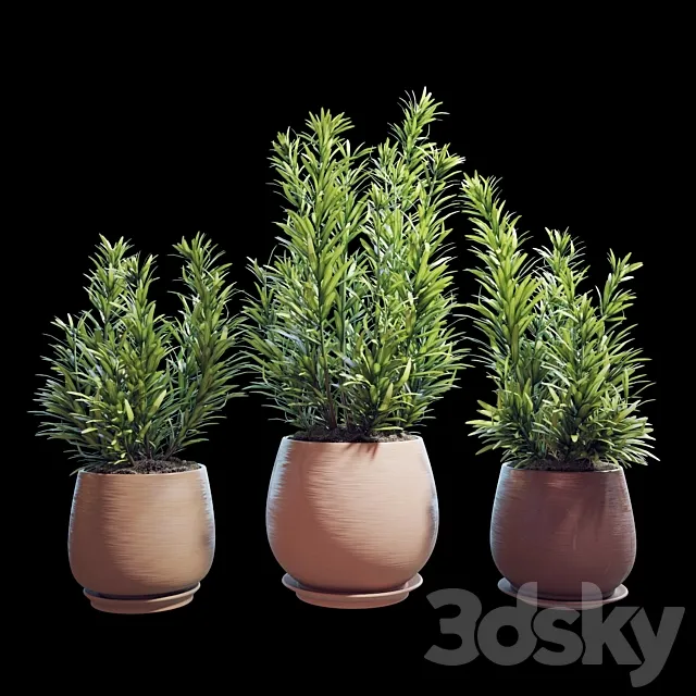 Plant set 07 3DModel