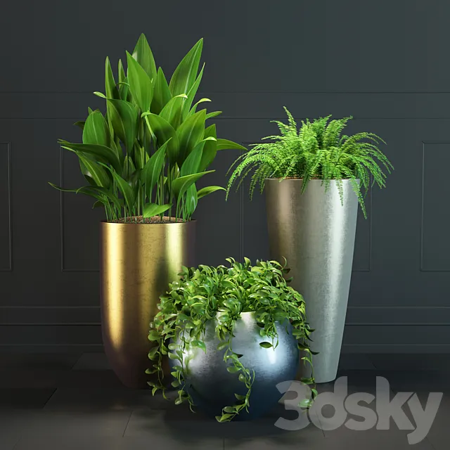 Plant Set # 1 3DModel Plant Set # 1 3DModel