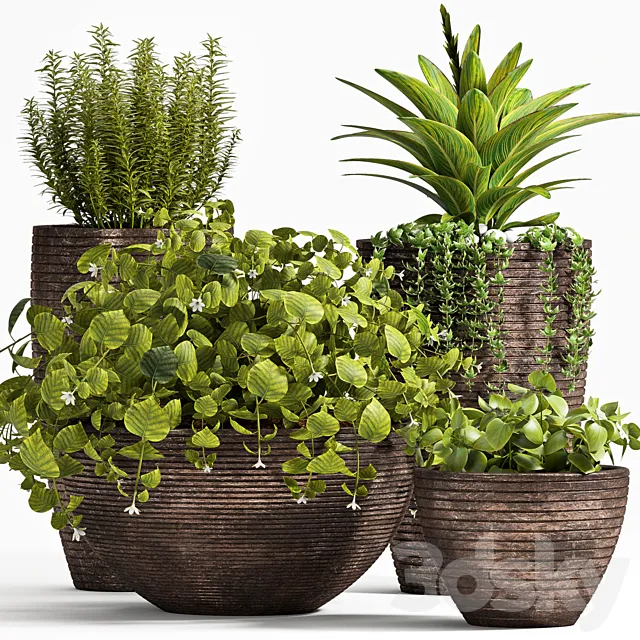 PLANT SET -101 3D Model PLANT SET -101 3D Model