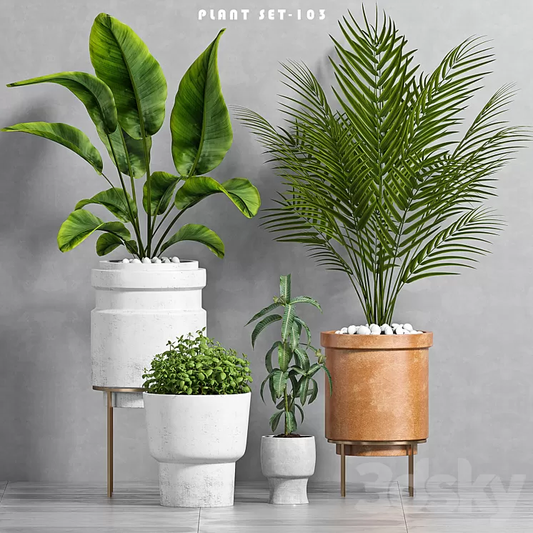 PLANT SET -103 3D Model