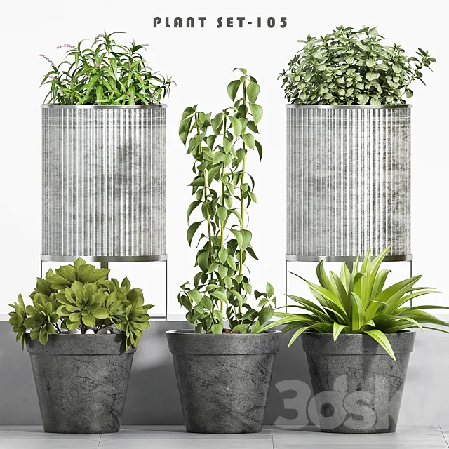 plant set-105 3DModel plant set-105 3DModel