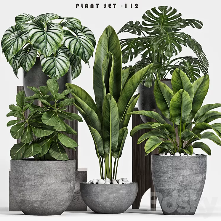 plant set-112 3D Model