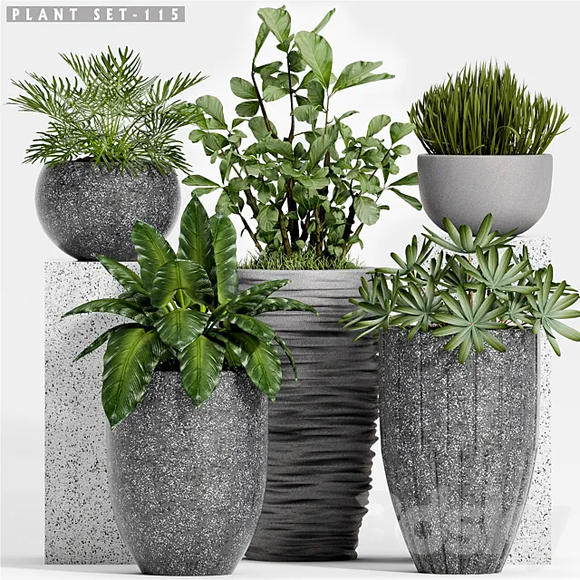 Plant set-115 3D Model Plant set-115 3D Model