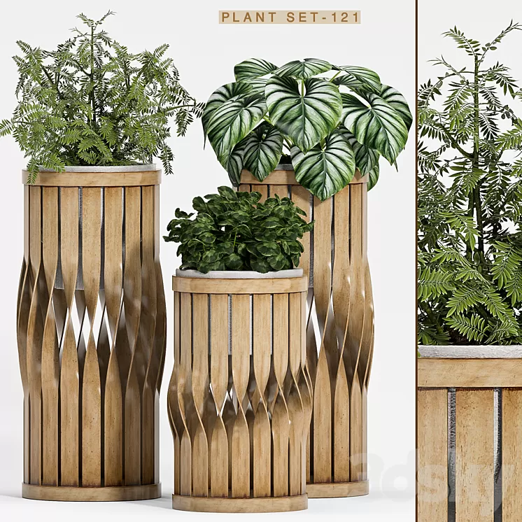Plant set-121 3D Model