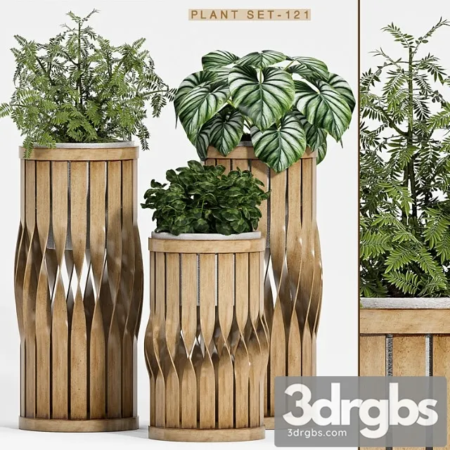 Plant set-121 Plant set-121