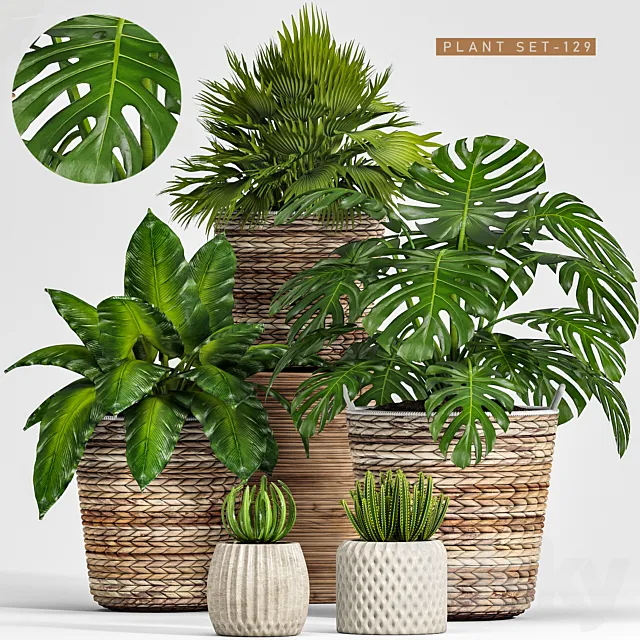plant set 128 3D Model