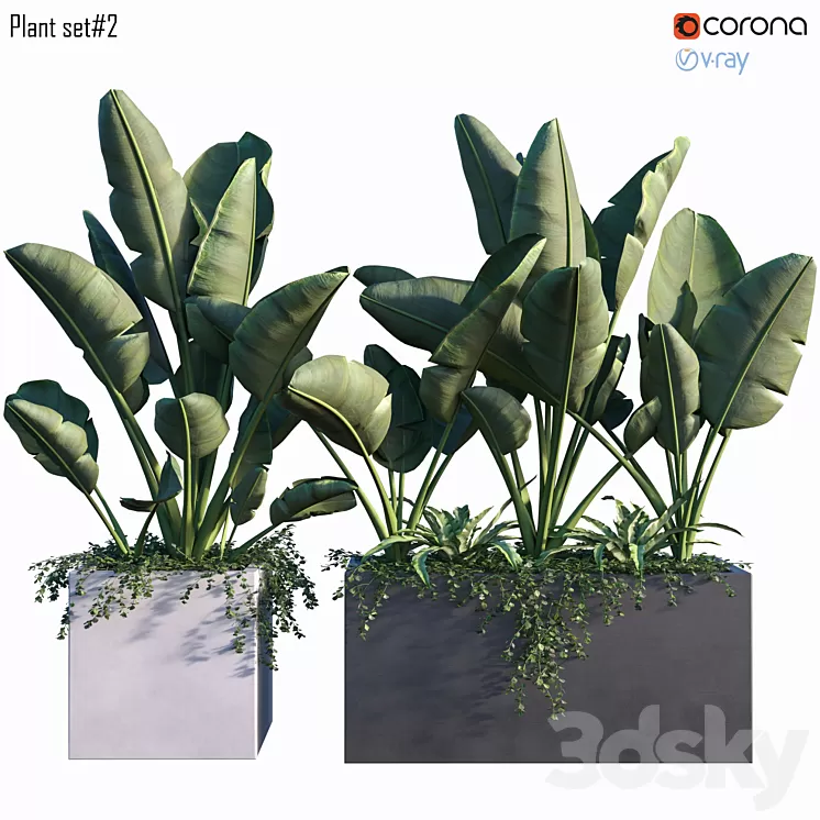 Plant set # 2 3D Model