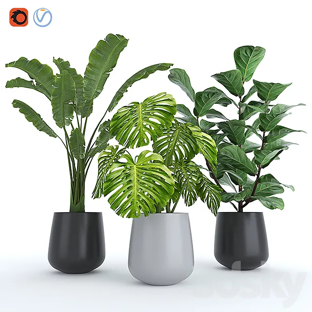 Plant Set 4 3D Model