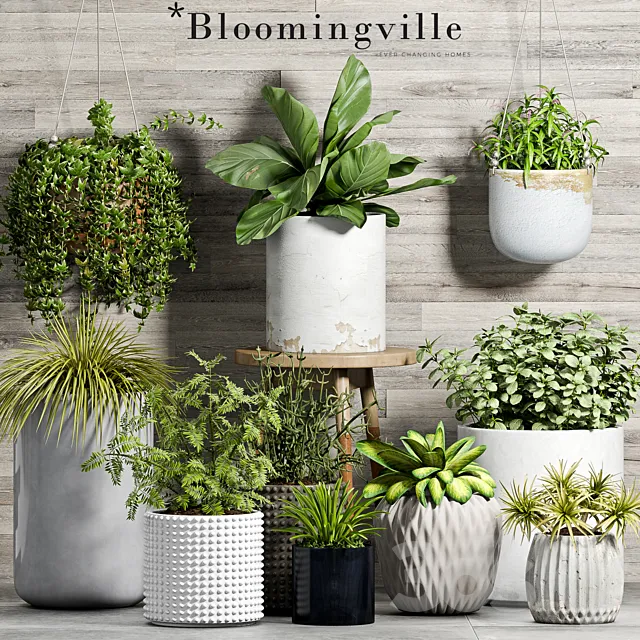 PLANT SET -58 3DModel PLANT SET -58 3DModel