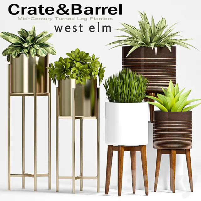 PLANT SET -61 3DModel PLANT SET -61 3DModel