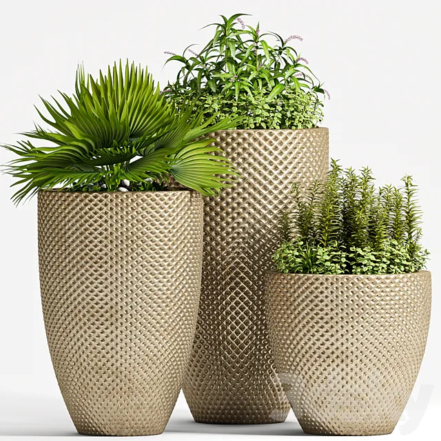 PLANT SET – 68 3DModel PLANT SET – 68 3DModel