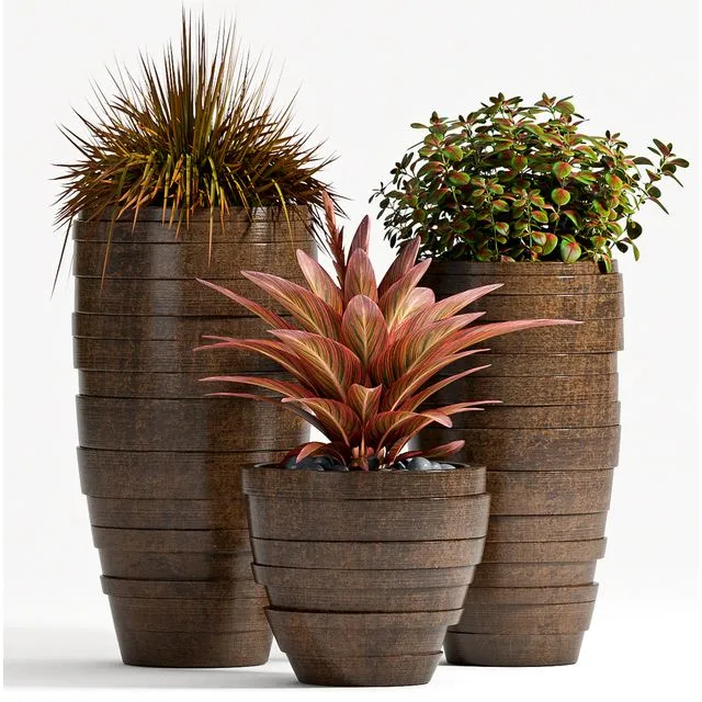 PLANT SET – 72 3D Model